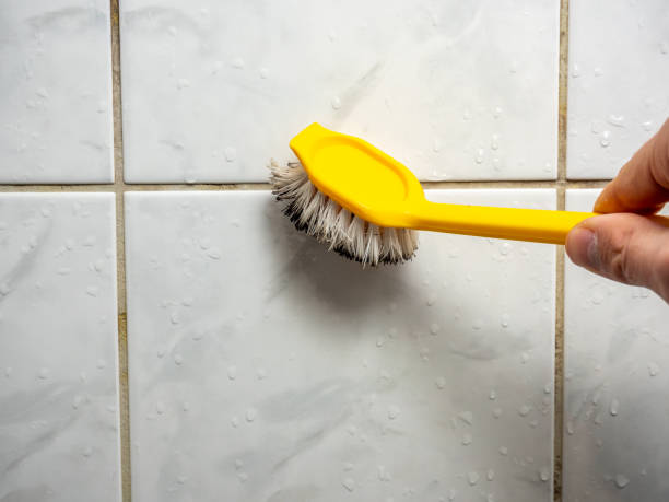 Best Same-Day Mold Removal  in Fayette, LA