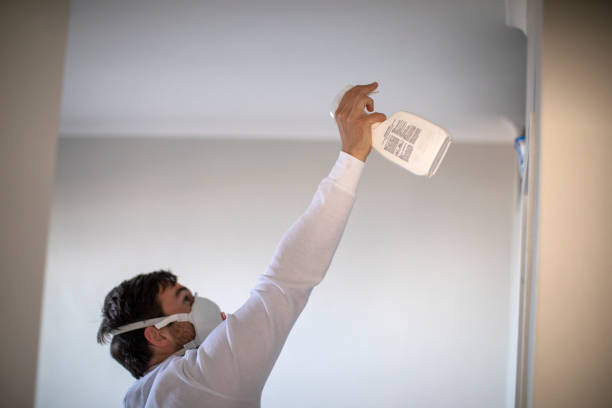 Best Certified Mold Removal  in Fayette, LA