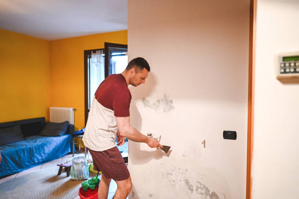 Best Crawl Space Mold Removal  in Fayette, LA